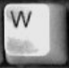 W.png
