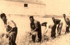 ¿Qué relación tenían con la naturaleza?